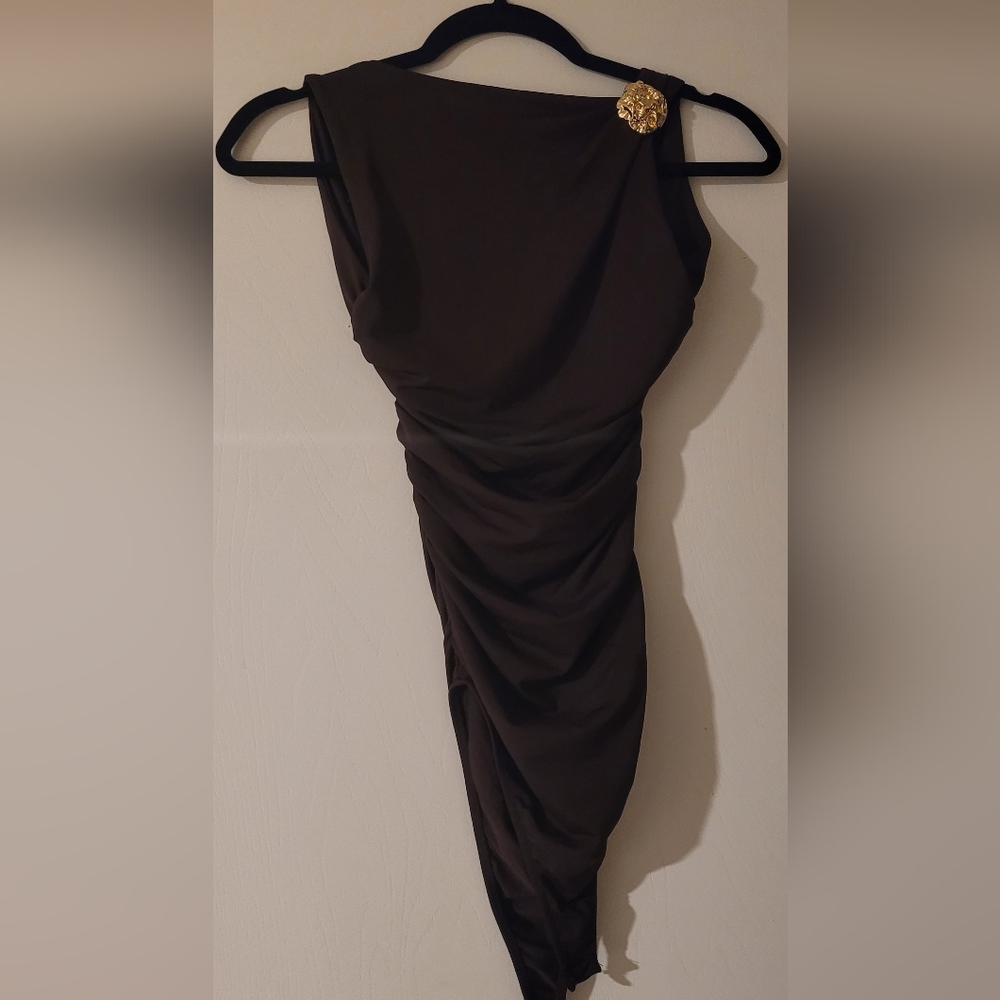 Zara Brown Bodysuit With Gold Broach